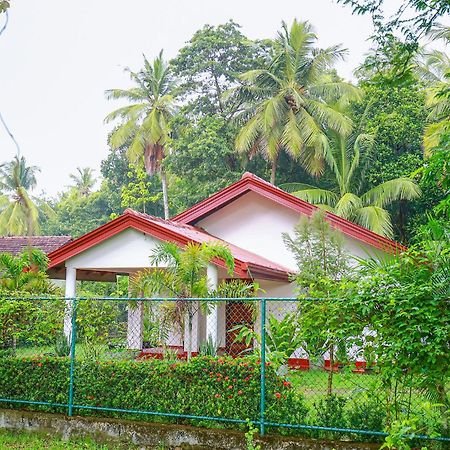 Villa Ravichini Polonnaruwa Exteriör bild