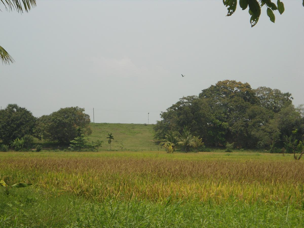 Villa Ravichini Polonnaruwa Exteriör bild